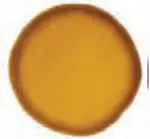 Barva na sklo Deco Renesans 30ml Okrová 140