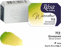 Akvarelová barva Rosa Gallery 2,5 ml – 713 olive green