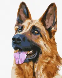 Malování podle čísel 40×50 cm – kreativní sada pro dospělé i děti  Věrný přítel 