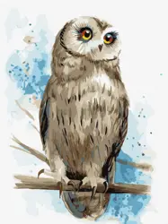  Malování podle čísel – plátno 30×40 cm Moudrý pohled