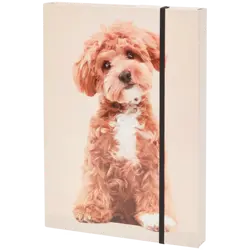 Zakládací desky A4 pejsek