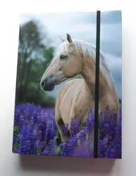 Zakládací desky A4 Kůň