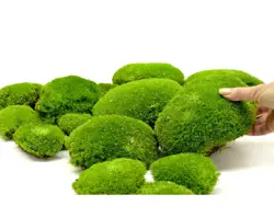 Vůně do svíček 10ml zelený mech