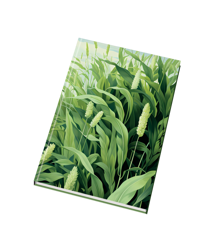 Záznamní kniha A4 96ls čistá Příroda 