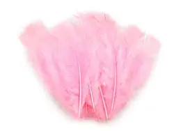 Peříčka prachová 10g světle růžová