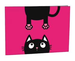 Desky na číslice Crazy cat