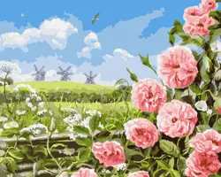 Malování podle čísel 40×50 cm – kreativní sada pro dospělé i děti Něha polí 