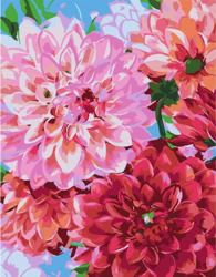 Malování podle čísel Rosa Start Květy jiřin 35x45cm