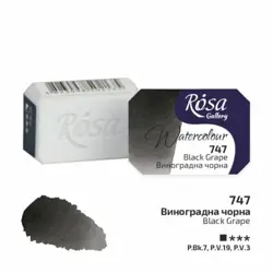 Akvarelová barva Rosa Gallery 2,5 ml – 747 black grape