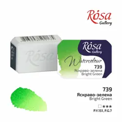 Akvarelová barva Rosa Gallery 2,5 ml –  739 bright green