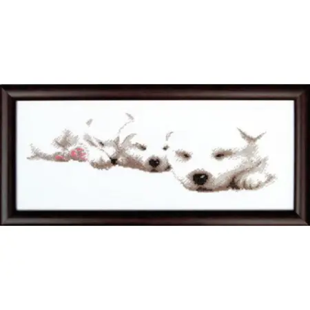  Bílá štěňata A-014