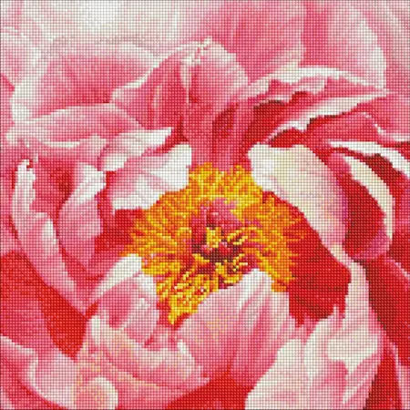 Diamantová mozaika 40×40 cm – kreativní sada s třpytivými kamínky  Barevná pivoňka 