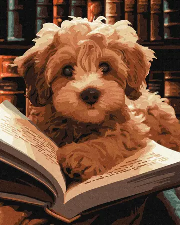 Malování podle čísel 40×50 cm – kreativní sada pro dospělé i děti chlupatý   čtenář 