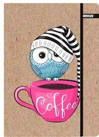 KRAFT FLUE Složka A4 sovička