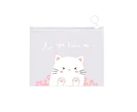 Průhledný polypropylenový obal A5 – kočičí motiv are you kitten me